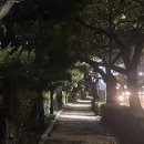 10월 1주차 - 문달래바/리디앤폴