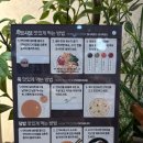 마라당 | 샤브온당 소하점 1인 샤브후기/온당샤브부터 마라당샤브까지 정복!