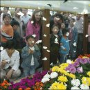 함평이야기 이미지