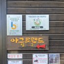 서나라농장 | [예산여행] 수레국화 포토스팟 아그로랜드 내돈내산 후기