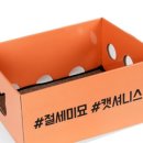 종이노리
