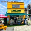 바나타이거부산