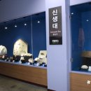 제주화석박물관 이미지