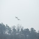 16년도 마지막 출사
