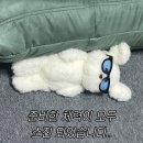 경주 비단벌레차 예약방법, 첨성대, 경주샌드, 경주원조콩국, 교리김밤, 울산식당, 문무대왕릉, 쿼파치