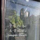 달리풀
