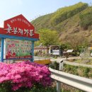 미라실로 이미지