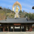 김진무 | 여산의 혜원 정토종조