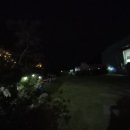 쫑이와메리 이미지