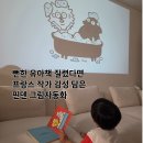 동화글로벌 | 뻔한 유아책이 질렸다면 프랑스 작가 감성 담은 핀덴 그림자동화