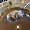 [서울 미아사거리역 맛집] 순이네벌교꼬막, 서울에서 신선한 벌교꼬막을 즐길 수 있는 술집(미아사거리...