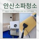 오늘의세탁 | 안산 라무스 소파 청소 오염 냄새 해결완료 쇼파 세탁 전문업체 후기