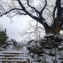 365통신 이미지