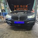 엘모터스(L-MOTORS) 이미지