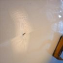 자동차 도색판금 사고전문 스마트자동차공업사 이미지