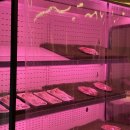 청하가스 | [팔팔팔구/일상] 천안 아산바베큐장 당일 글램핑 외부음식반입가능 포시즌발리 솔직후기