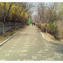 서리풀길 35 이미지