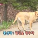 은봉산 이미지