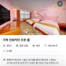 호텔와 | 상해 준라이/와심호텔 | 상해 레이오버 여행 공항 인근 숙소 후기