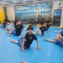 우리 태권도 체육관 이미지