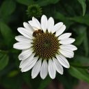 SK어연공단주유소 이미지