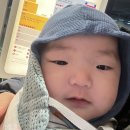 보스베이비 | 물노리베이비일산 - 5개월 아기, 6살 어린이 베이비 수영 후기 보스 베이비 탄생 (요금표, 놀이정보)