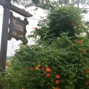 허브캐슬 Daum카페