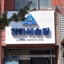 알파레슬링 이미지