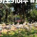 (주)코끼리투어 이미지