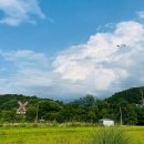 세인목장 이미지