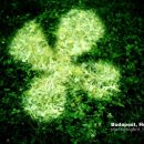 Book Reading 이미지