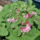 몽촌마을회관 이미지