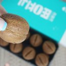 강릉커피콩빵강릉당초당점 이미지