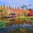 경상남도 수목원 이미지