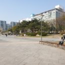 등나무문화공원 이미지