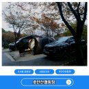 초안산캠핑장 | 서울 초안산캠핑장 파크 P8 예약 및 명당자리 후기