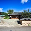 돌담과 초록 이미지