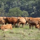 두소경로당 이미지