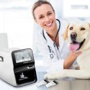 레미 동물병원 이미지