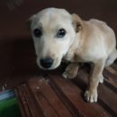 덕인목장 이미지