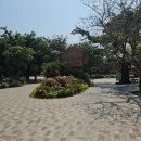 아트밸리 주말공연/ 마트쇼 | 나트랑 빈펄섬 빈원더스 후기🎢 오픈런부터 타타쇼까지 꿀팁 정리