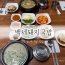 [진주 호탄동 맛집] 깔끔한 맛의 국물과 수육 맛집, 백세돼지국밥