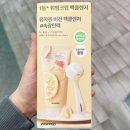 유자몽 이미지
