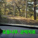 동행상조 이미지