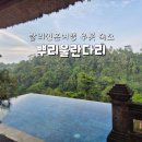 뿌리식당 | 발리 신혼여행 우붓 숙소 우붓 뿌리울란다리 리조트 리얼후기