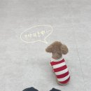 아산 바림 스튜디오 : 탕정 프리미엄 증명사진 후기