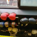 Bee 복싱짐 이미지