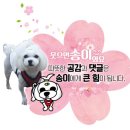 짱구와 동팔이 이미지