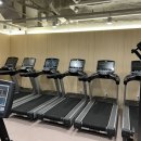 에이펙스 피트니스(APEX FITNESS) | 가산헬스장 이용후기 24시헬스장 에이펙스 피트니스 가산PT