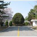 구 진해요항부 병원 이미지